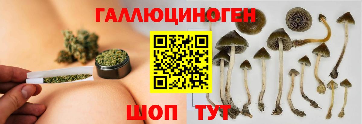 Псилоцибиновые грибы мухоморы  Вход с VPN  Полысаево 